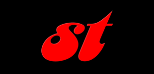 msapplication-wide310x150logo